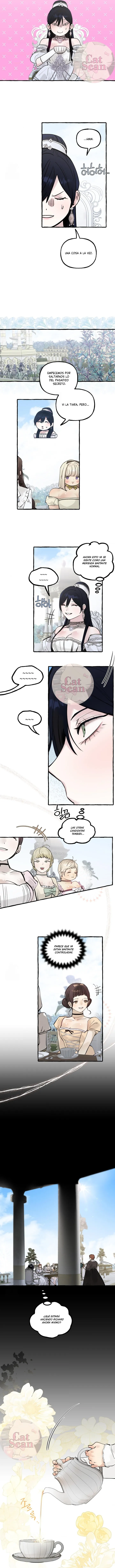 8 Dome al perro del palacio