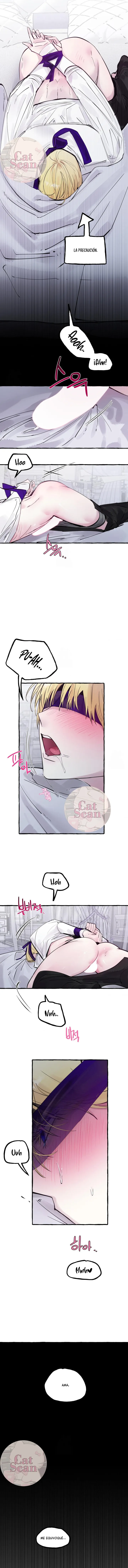 10 Dome al perro del palacio