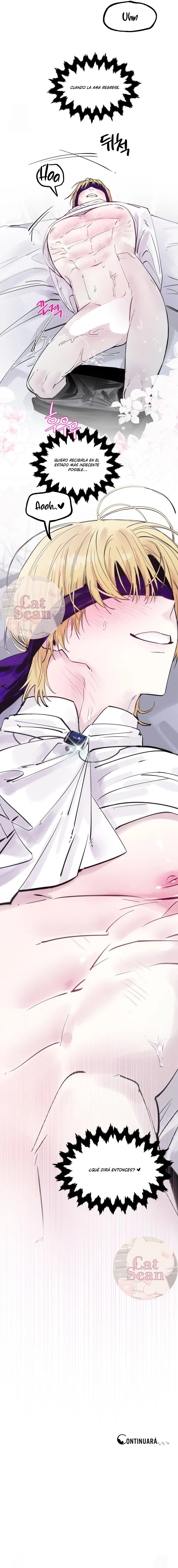 13 Dome al perro del palacio