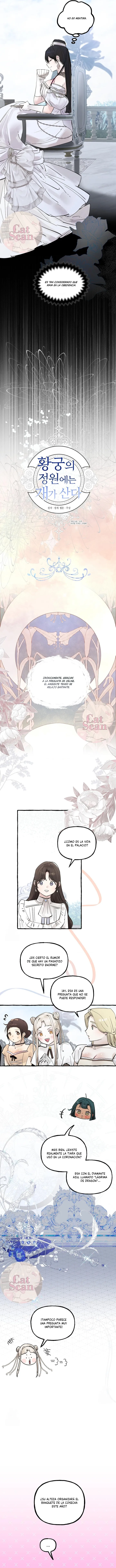 7 Dome al perro del palacio