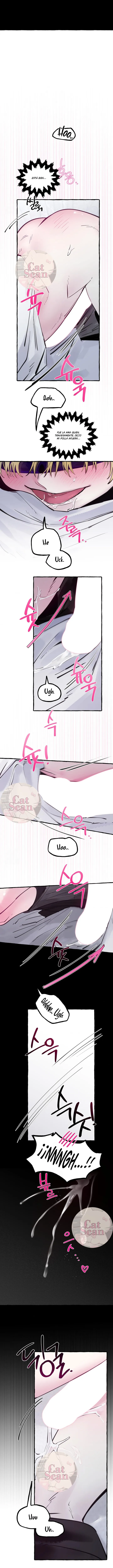 12 Dome al perro del palacio