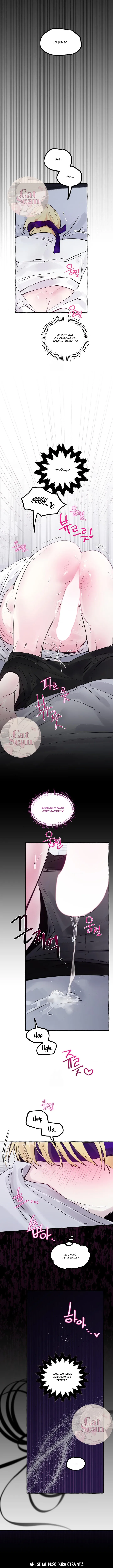 11 Dome al perro del palacio