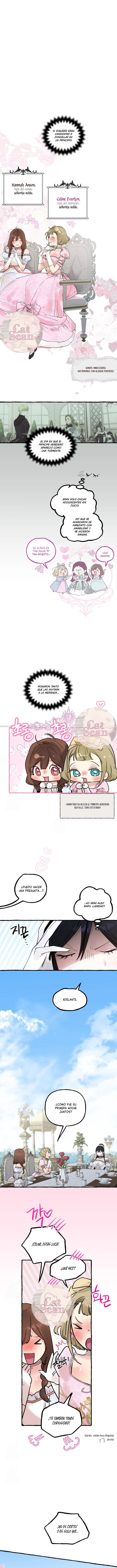 4 Dome al perro del palacio