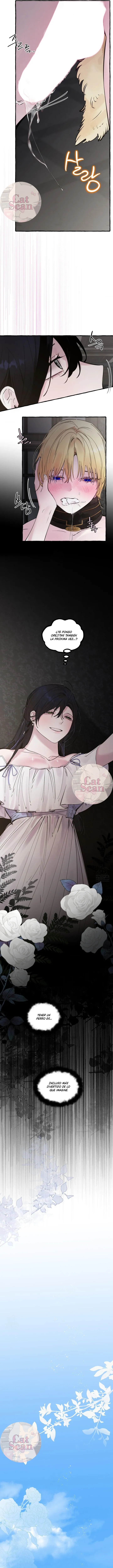 10 Dome al perro del palacio