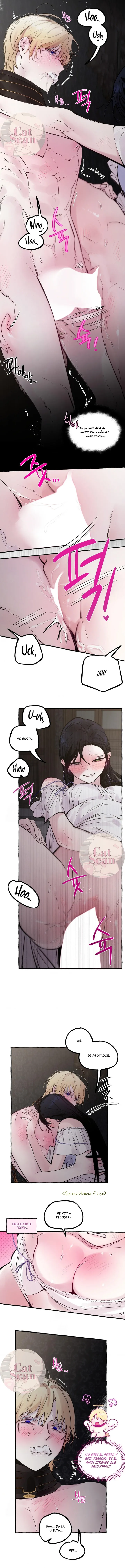 6 Dome al perro del palacio