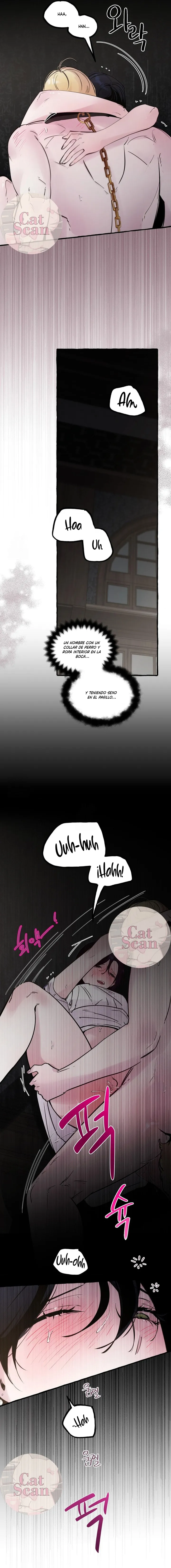 8 Dome al perro del palacio