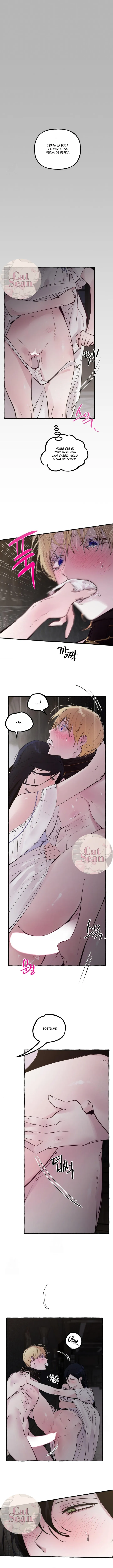 4 Dome al perro del palacio