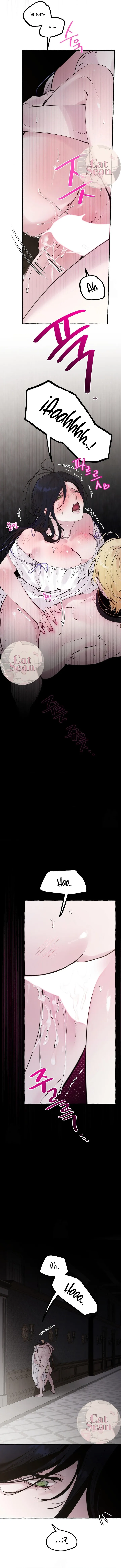 9 Dome al perro del palacio