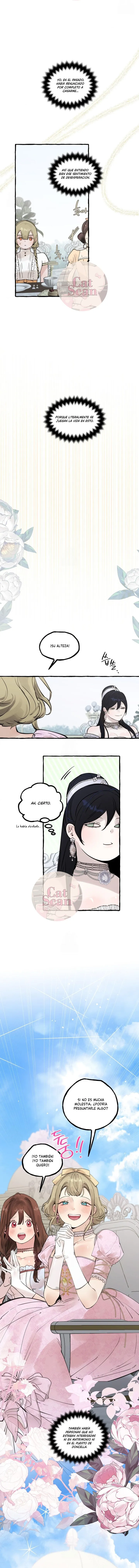 14 Dome al perro del palacio