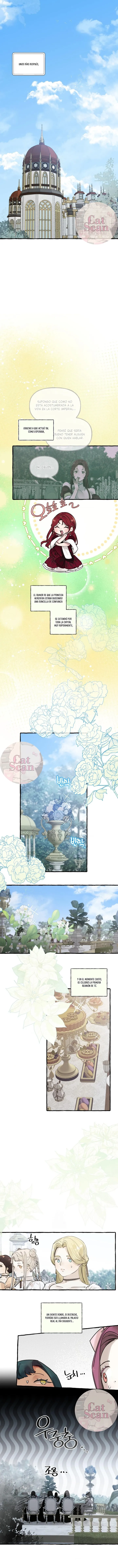 11 Dome al perro del palacio