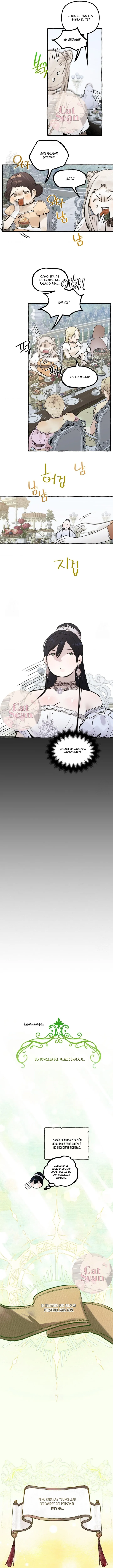 12 Dome al perro del palacio