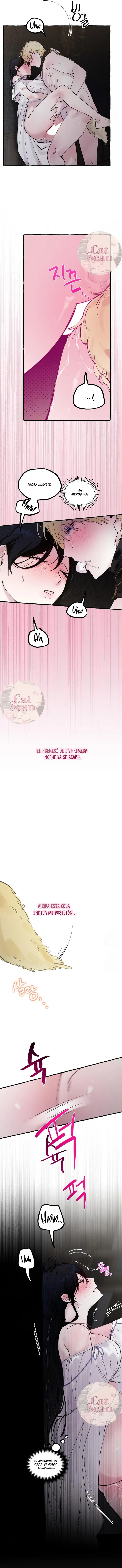 7 Dome al perro del palacio