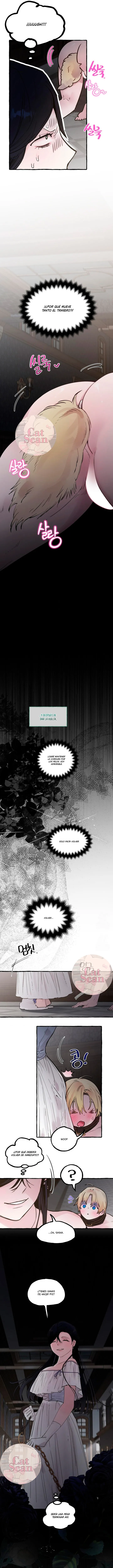 5 Dome al perro del palacio