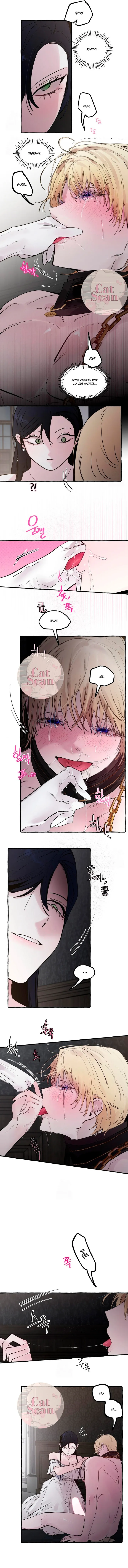 13 Dome al perro del palacio