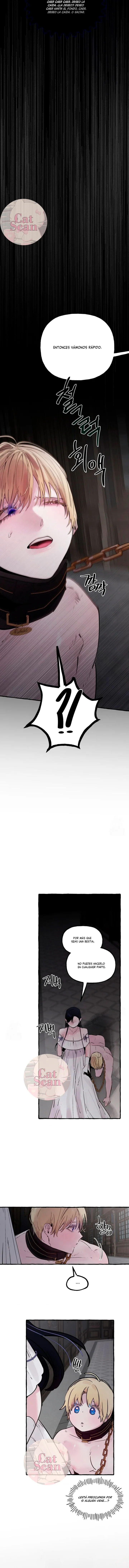 8 Dome al perro del palacio