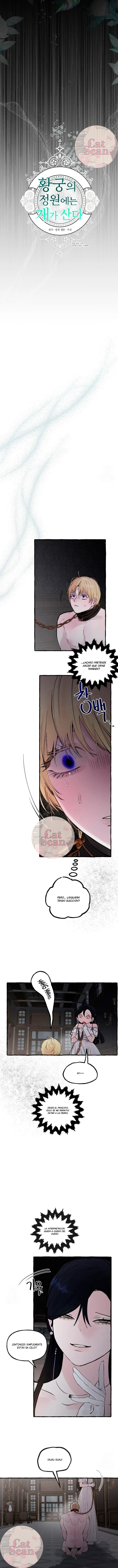 6 Dome al perro del palacio