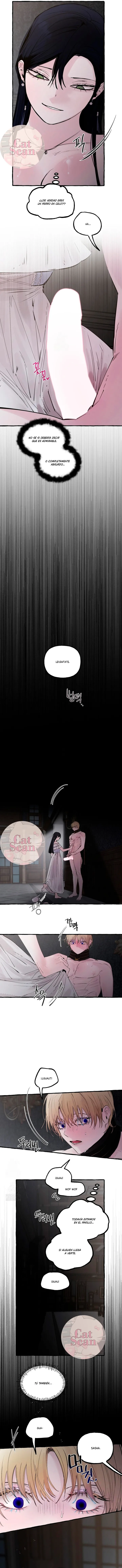 14 Dome al perro del palacio