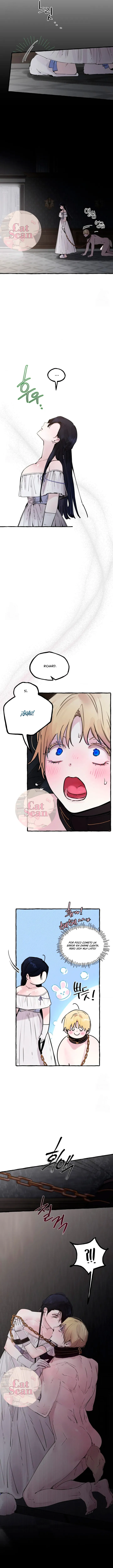 10 Dome al perro del palacio