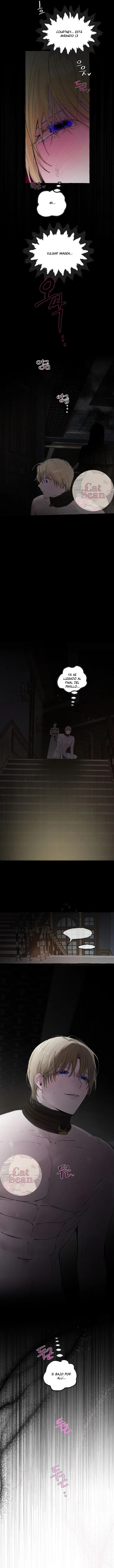 13 Dome al perro del palacio