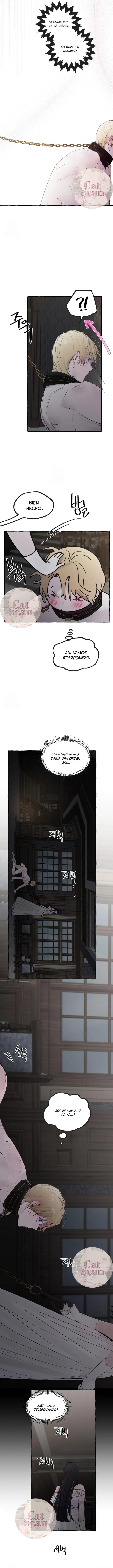 14 Dome al perro del palacio