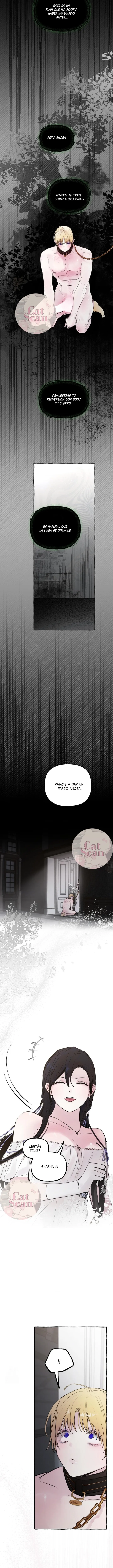 9 Dome al perro del palacio