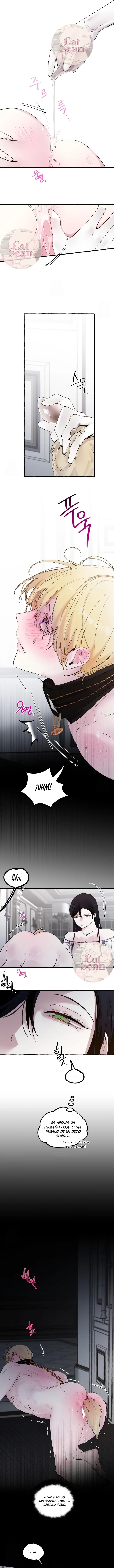 5 Dome al perro del palacio