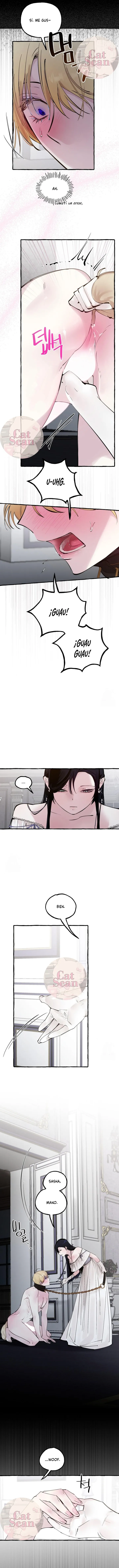 7 Dome al perro del palacio