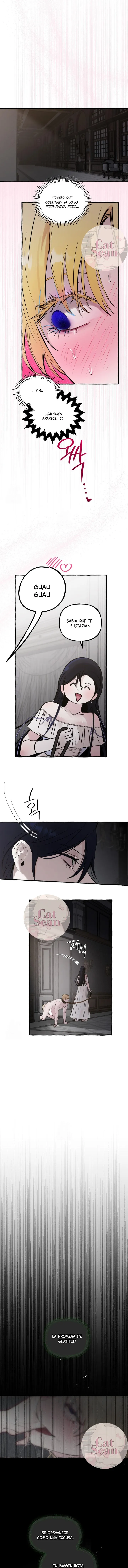 10 Dome al perro del palacio