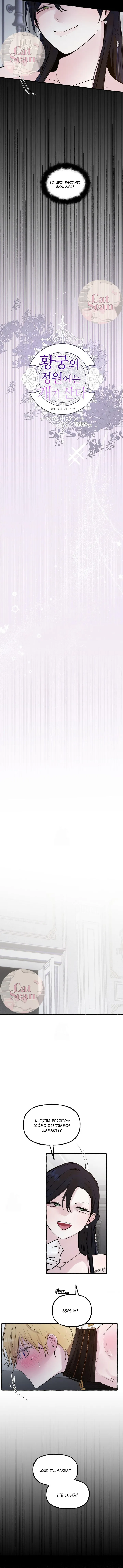 6 Dome al perro del palacio