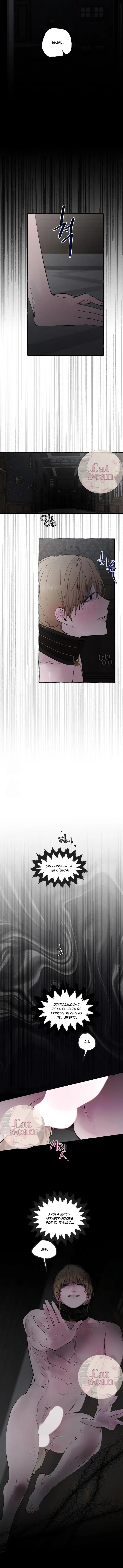 12 Dome al perro del palacio