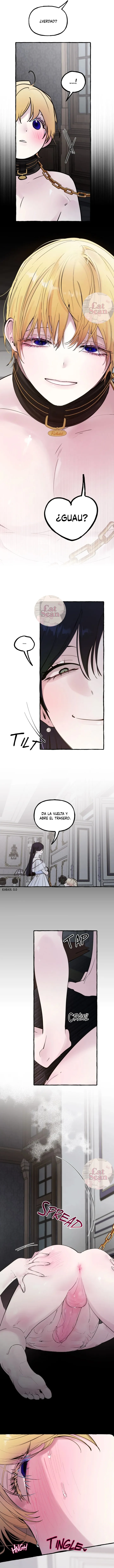 13 Dome al perro del palacio