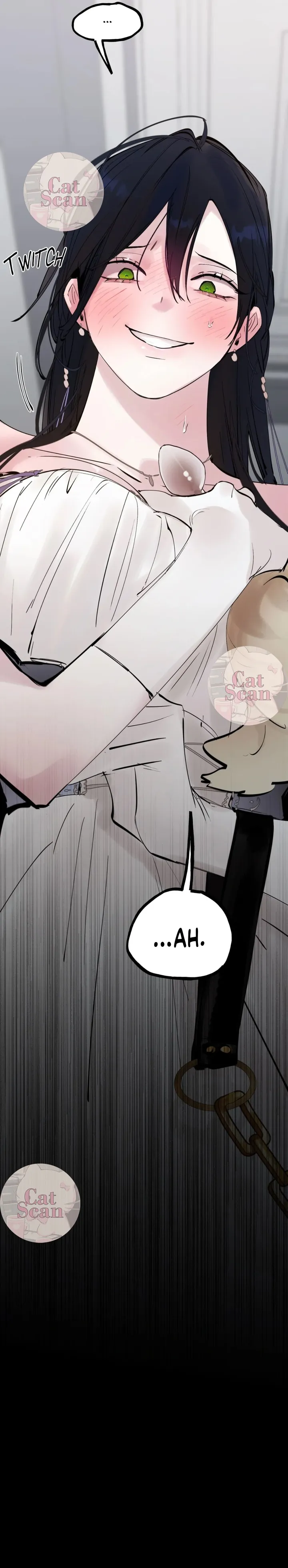 14 Dome al perro del palacio