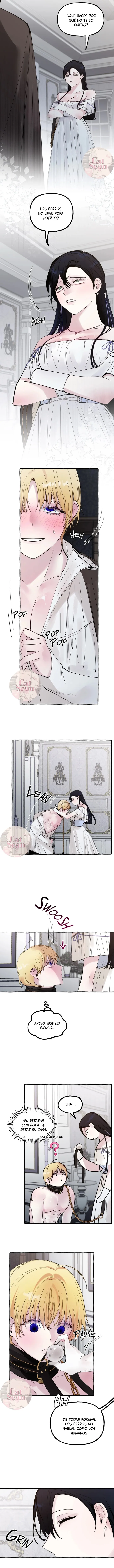 12 Dome al perro del palacio