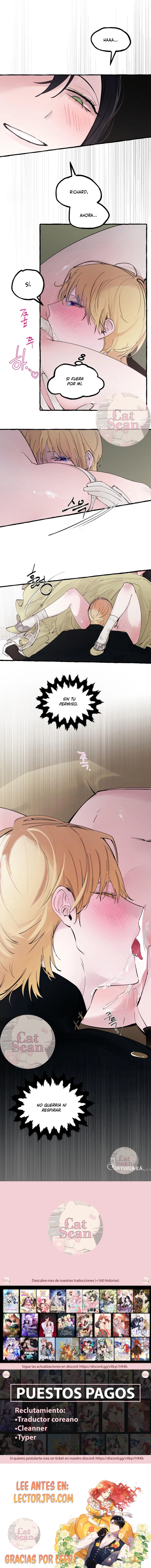 6 Dome al perro del palacio