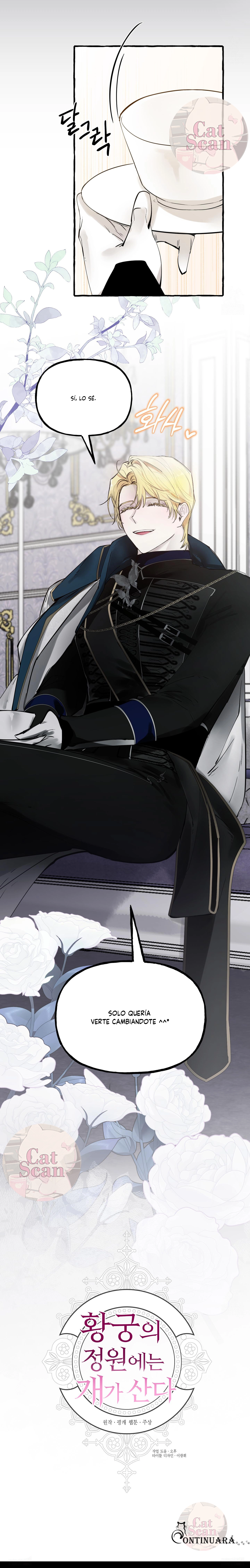 13 Dome al perro del palacio