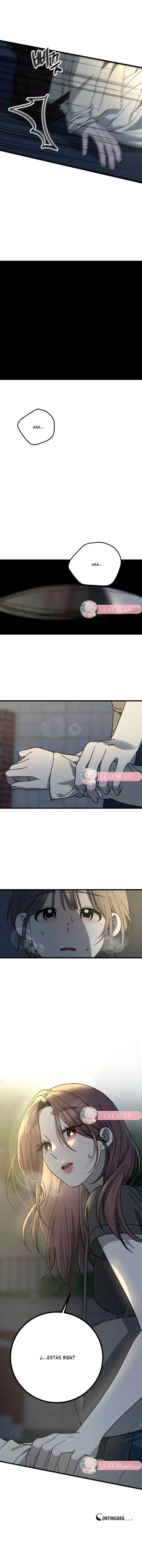 13 La ley de la basura