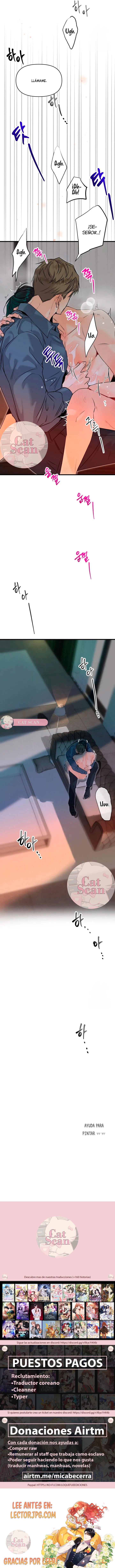 8 Informe de captura de próstata