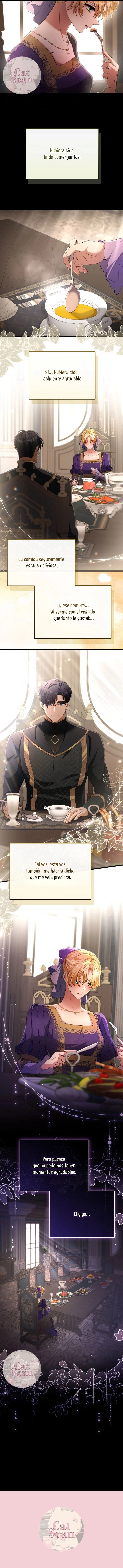 12 Propuesta salvaje