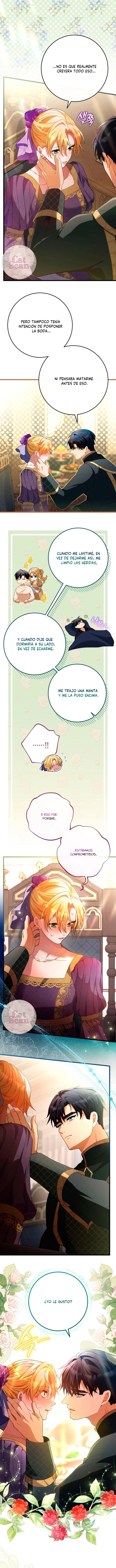 13 Propuesta salvaje