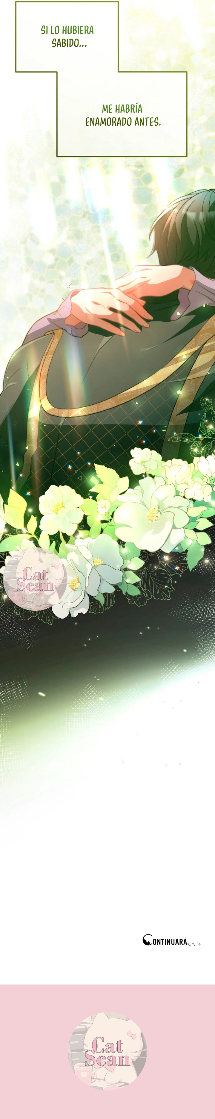 15 Propuesta salvaje