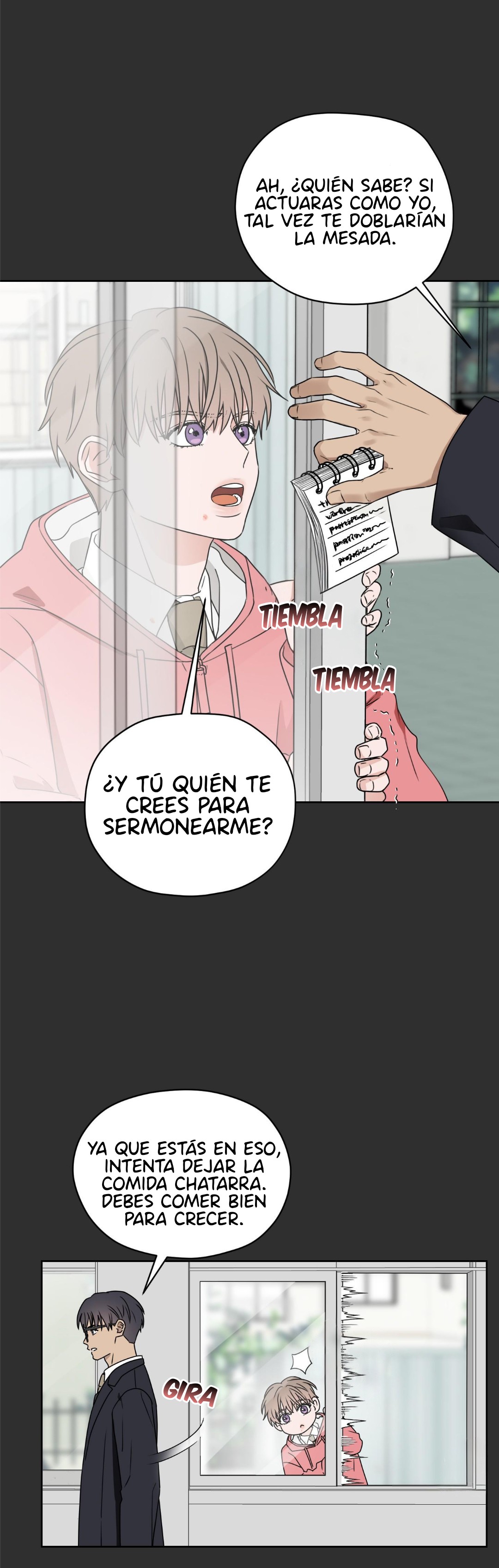 29 Mi tercer flechazo