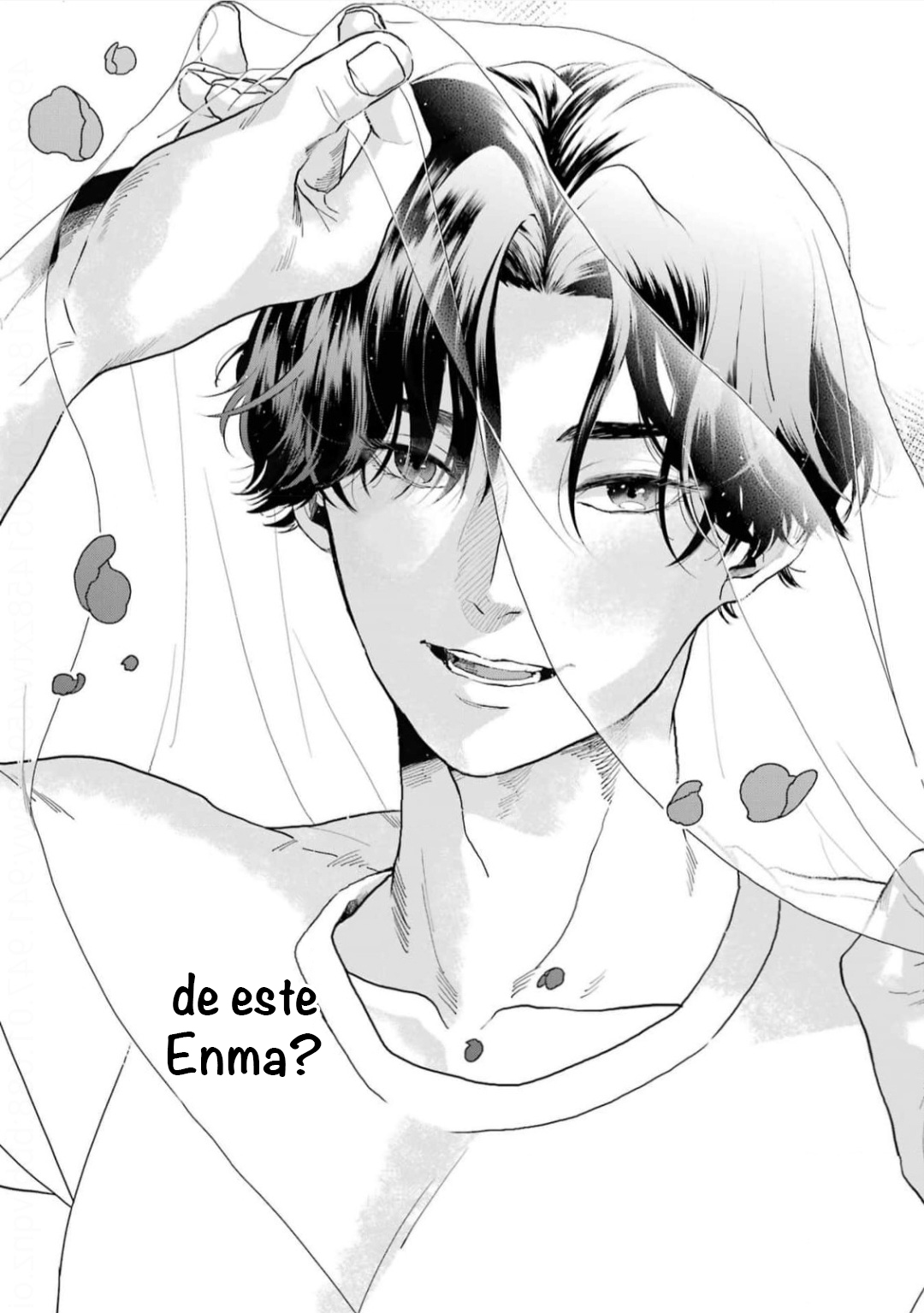 43 Chameleon wa Tenohira ni Koi wo Suru.