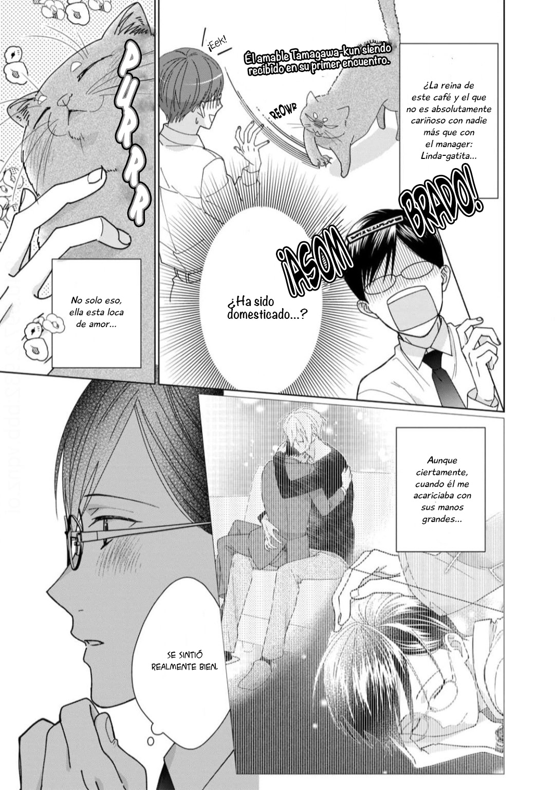 15 Neko ni Naritai Tamagawa-kun