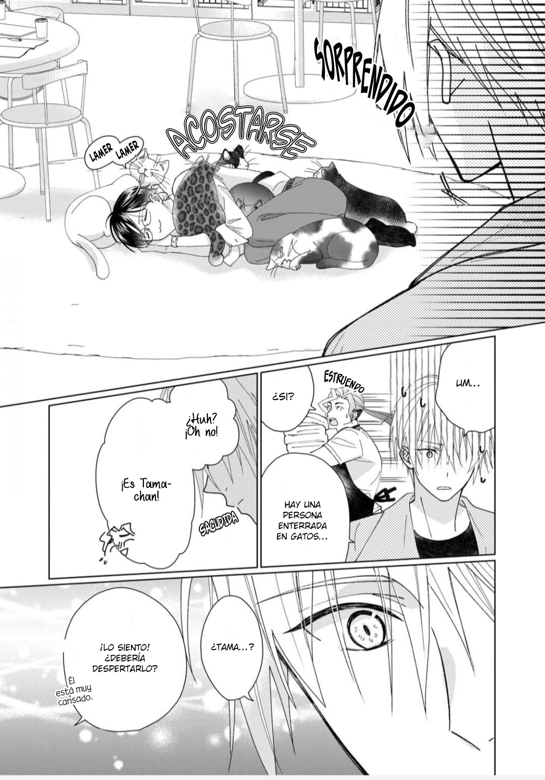 13 Neko ni Naritai Tamagawa-kun