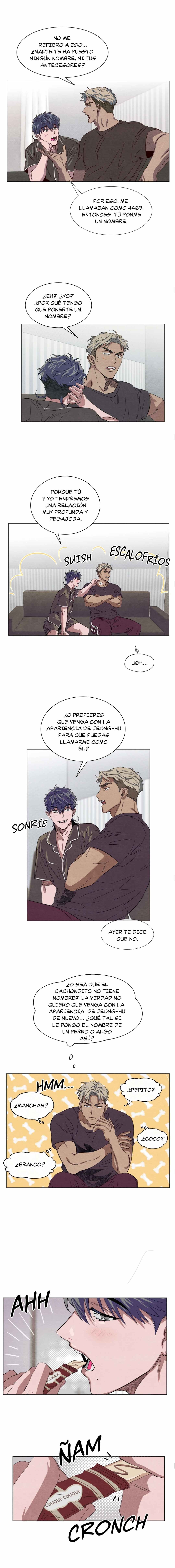 6 ¡Mi plaga demoníaca!