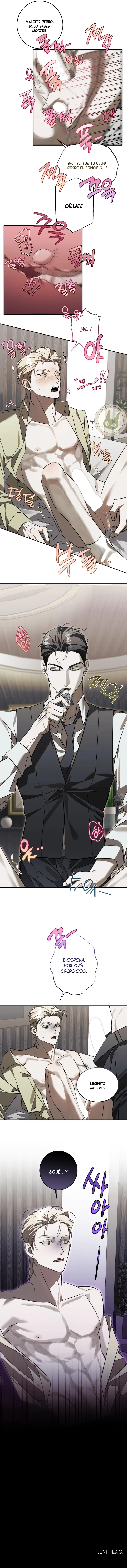 6 Distrito 3 de Valhalla