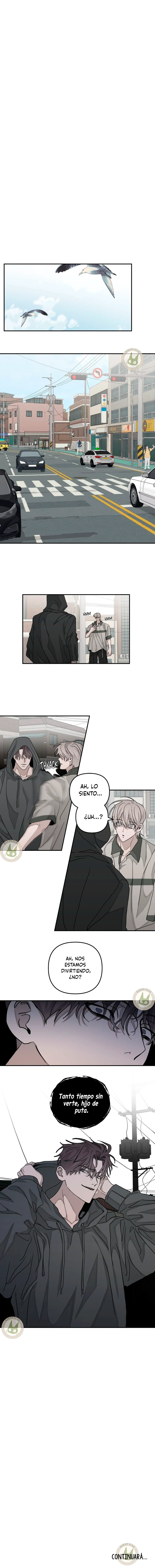 4 Amores y desamores al cuadrado