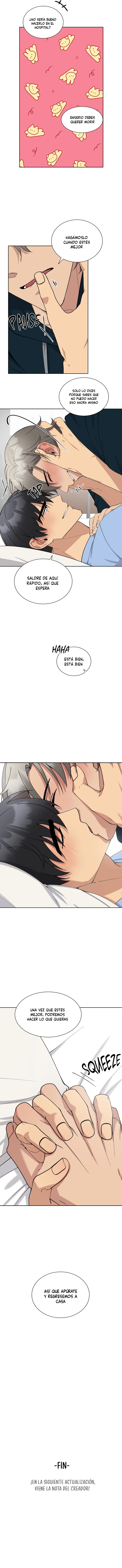 9 Metropolitan Nepenthes