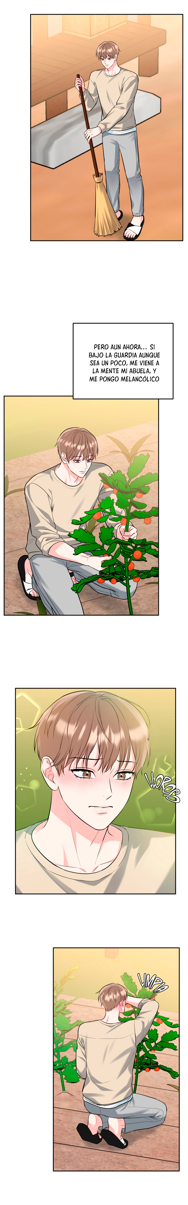 22 La Guarida del Tigre