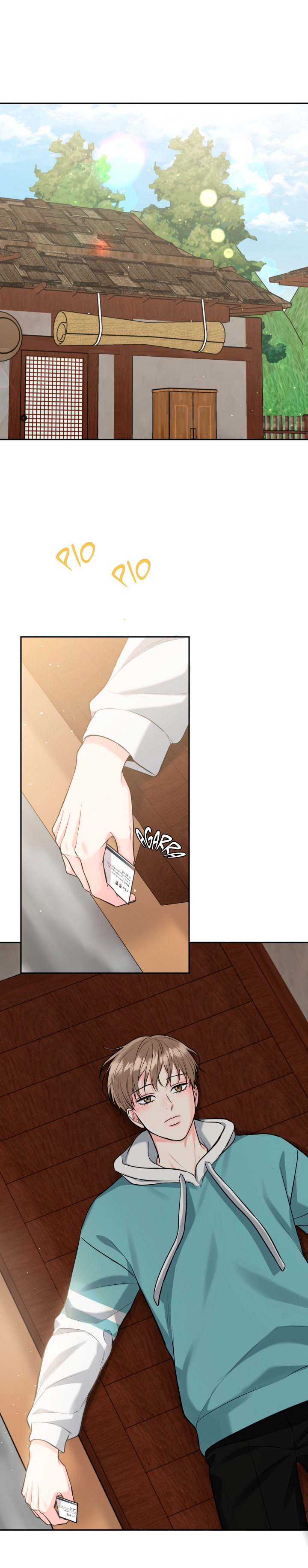 16 La Guarida del Tigre